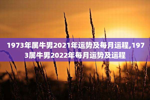 1973年属牛男2021年运势及每月运程,1973属牛男2022年每月运势及运程