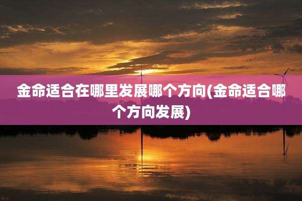 金命适合在哪里发展哪个方向(金命适合哪个方向发展)