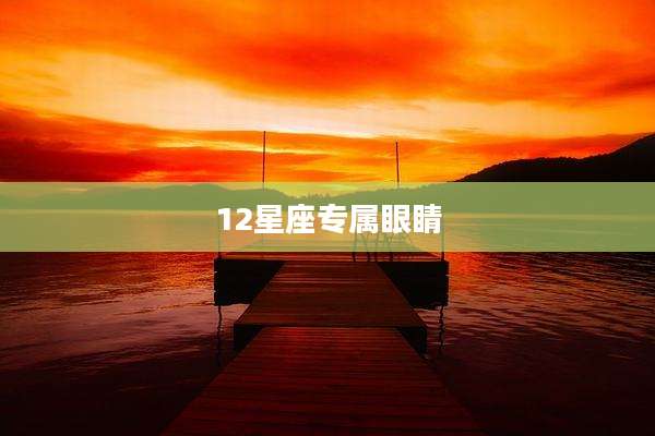 12星座专属眼睛