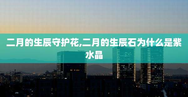 二月的生辰守护花,二月的生辰石为什么是紫水晶