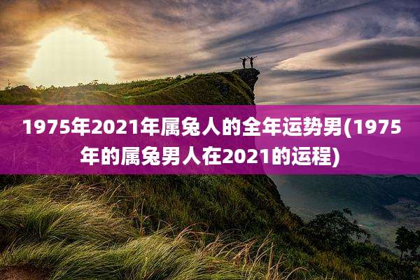 1975年2021年属兔人的全年运势男(1975年的属兔男人在2021的运程)
