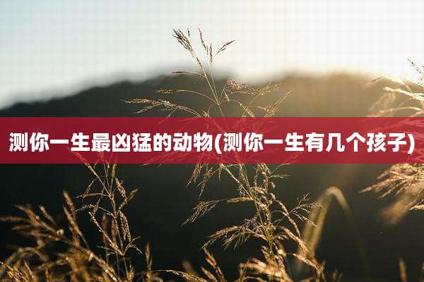 测你一生最凶猛的动物(测你一生有几个孩子)