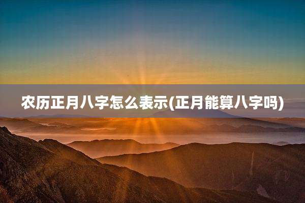 农历正月八字怎么表示(正月能算八字吗)