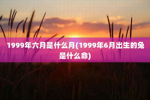 1999年六月是什么月(1999年6月出生的兔是什么命)