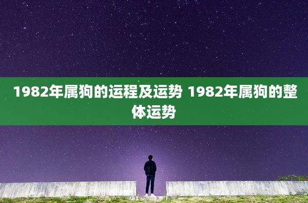 1982年属狗的运程及运势 1982年属狗的整体运势