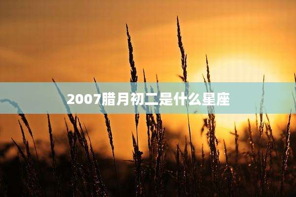 2007腊月初二是什么星座