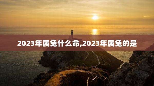 2023年属兔什么命,2023年属兔的是