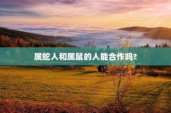 属蛇人和属鼠的人能合作吗?