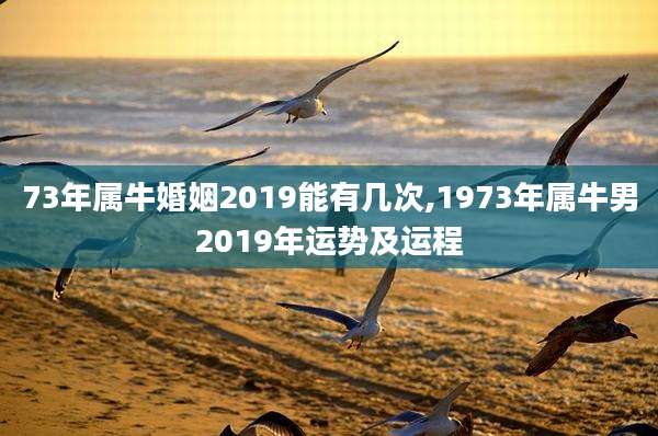 73年属牛婚姻2019能有几次,1973年属牛男2019年运势及运程