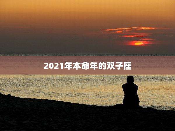 2021年本命年的双子座