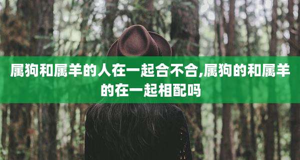 属狗和属羊的人在一起合不合,属狗的和属羊的在一起相配吗
