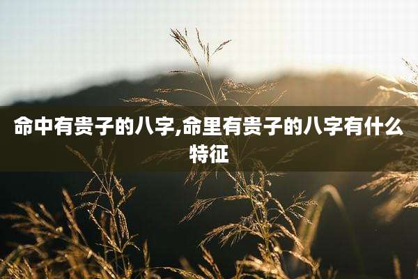 命中有贵子的八字,命里有贵子的八字有什么特征