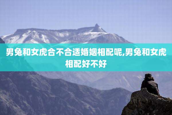男兔和女虎合不合适婚姻相配呢,男兔和女虎相配好不好