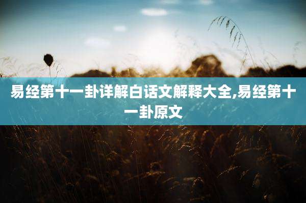 易经第十一卦详解白话文解释大全,易经第十一卦原文