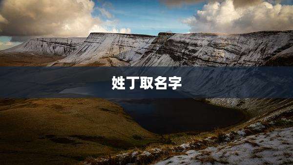 姓丁取名字