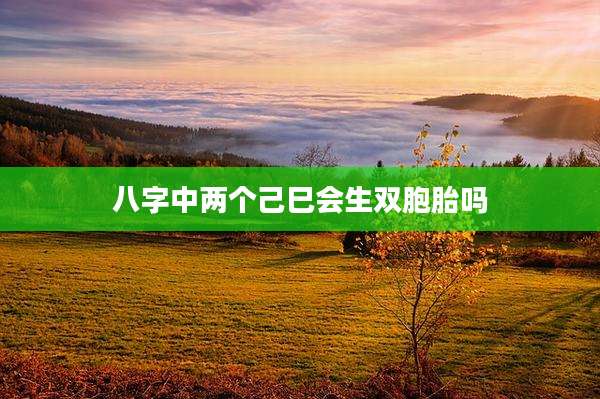 八字中两个己巳会生双胞胎吗