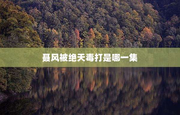 聂风被绝天毒打是哪一集