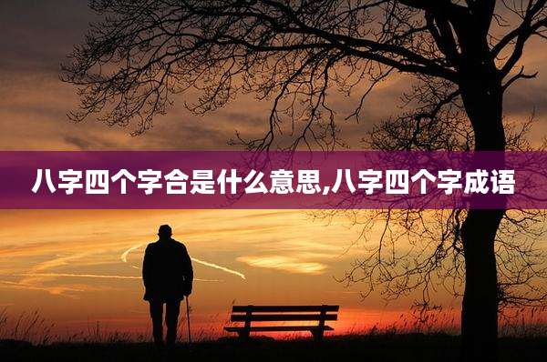 八字四个字合是什么意思,八字四个字成语
