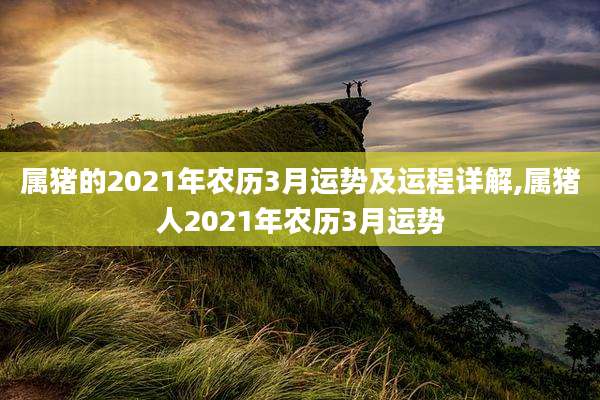 属猪的2021年农历3月运势及运程详解,属猪人2021年农历3月运势