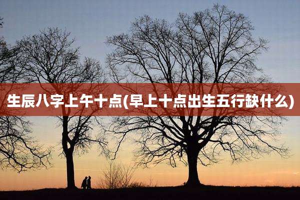 生辰八字上午十点(早上十点出生五行缺什么)