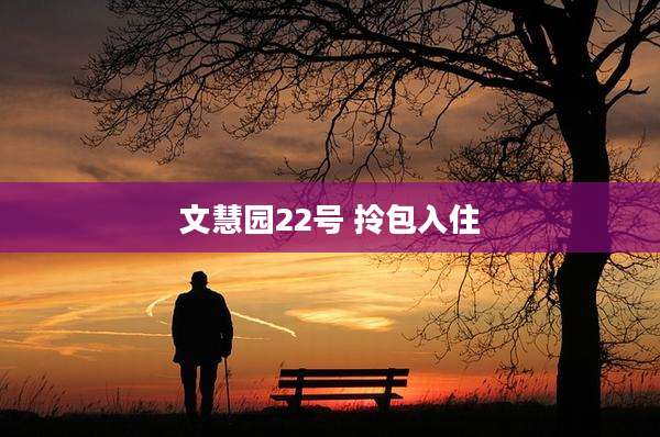 文慧园22号 拎包入住