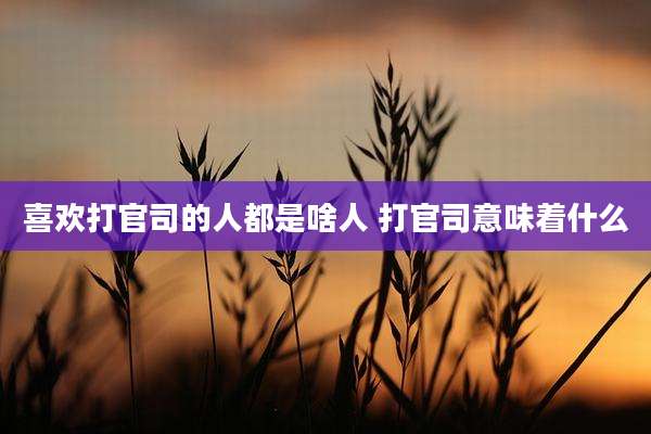 喜欢打官司的人都是啥人 打官司意味着什么