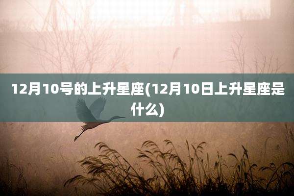 12月10号的上升星座(12月10日上升星座是什么)