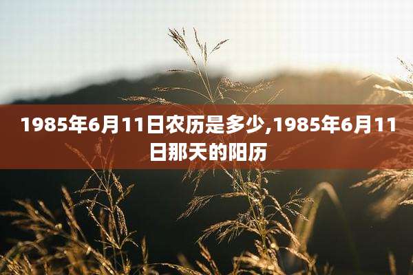 1985年6月11日农历是多少,1985年6月11日那天的阳历