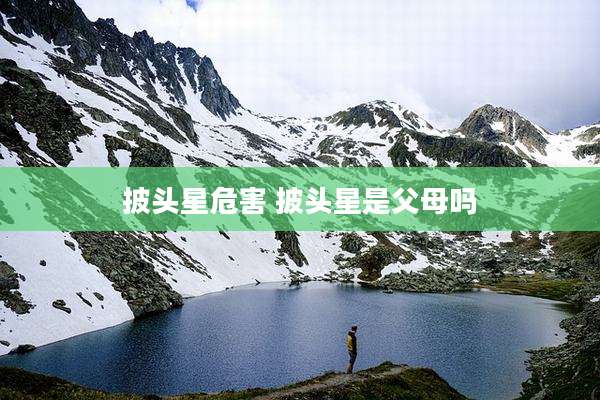 披头星危害 披头星是父母吗
