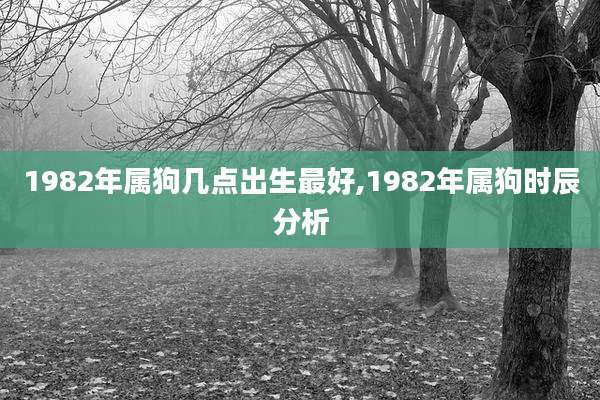 1982年属狗几点出生最好,1982年属狗时辰分析