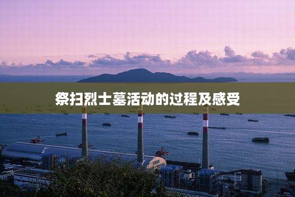 祭扫烈士墓活动的过程及感受