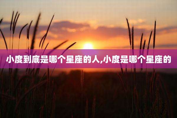 小度到底是哪个星座的人,小度是哪个星座的