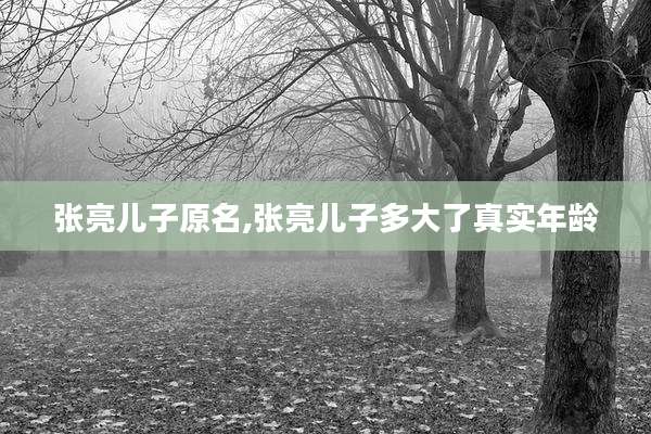 张亮儿子原名,张亮儿子多大了真实年龄