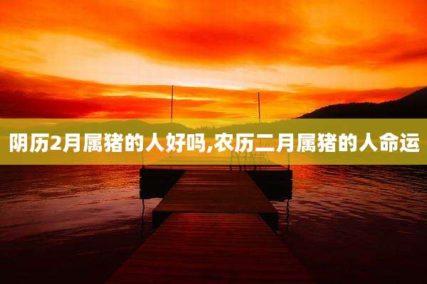 阴历2月属猪的人好吗,农历二月属猪的人命运