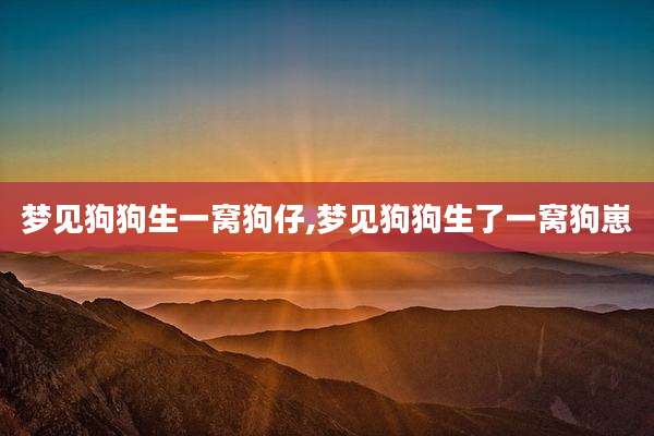 梦见狗狗生一窝狗仔,梦见狗狗生了一窝狗崽