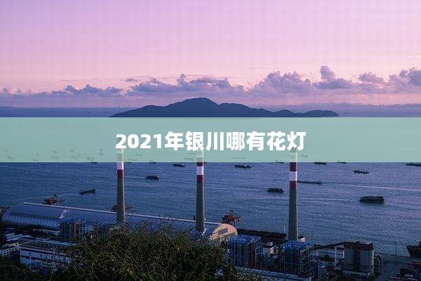 2021年银川哪有花灯