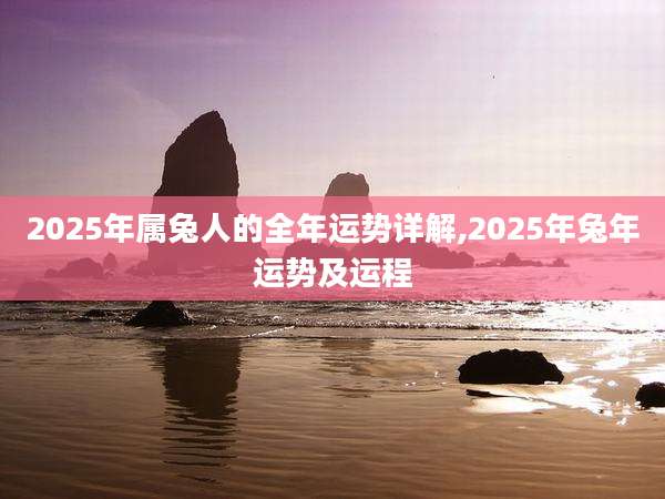 2025年属兔人的全年运势详解,2025年兔年运势及运程