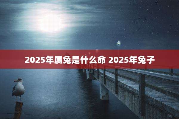 2025年属兔是什么命 2025年兔子