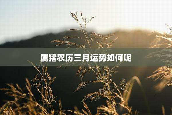 属猪农历三月运势如何呢