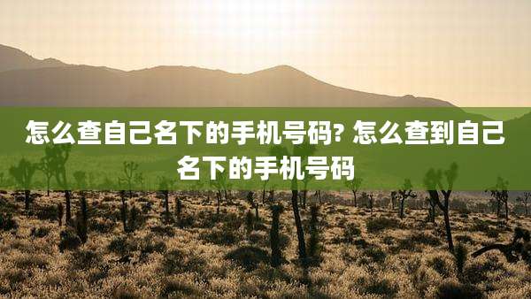 怎么查自己名下的手机号码? 怎么查到自己名下的手机号码