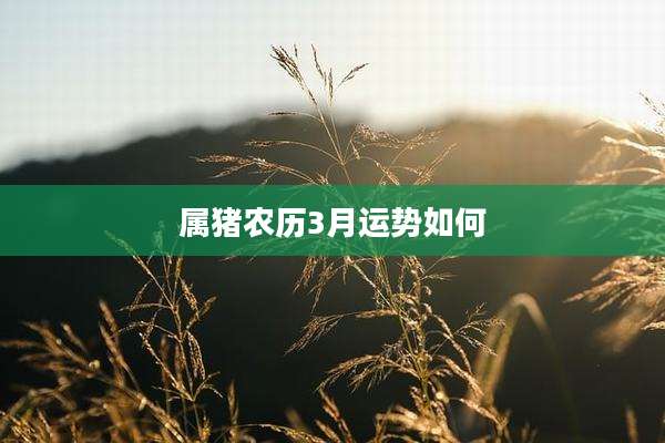 属猪农历3月运势如何