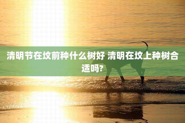清明节在坟前种什么树好 清明在坟上种树合适吗?