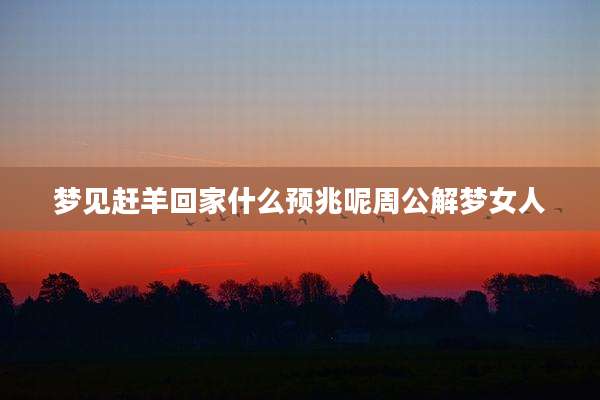 梦见赶羊回家什么预兆呢周公解梦女人