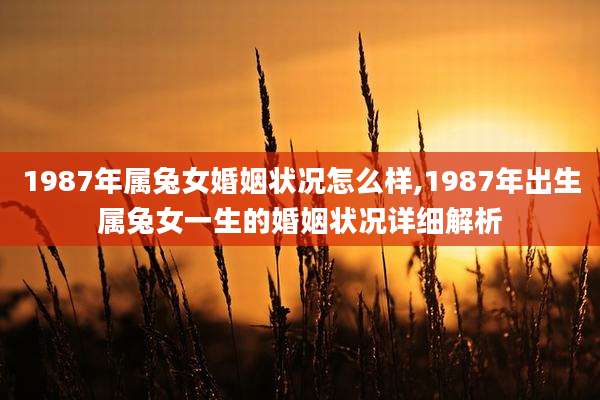 1987年属兔女婚姻状况怎么样,1987年出生属兔女一生的婚姻状况详细解析