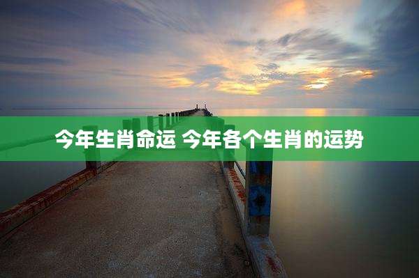 今年生肖命运 今年各个生肖的运势