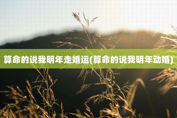 算命的说我明年走婚运(算命的说我明年动婚)
