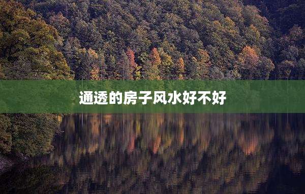 通透的房子风水好不好