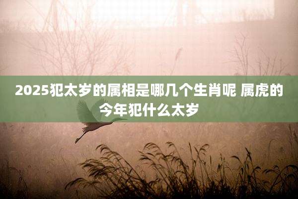 2025犯太岁的属相是哪几个生肖呢 属虎的今年犯什么太岁