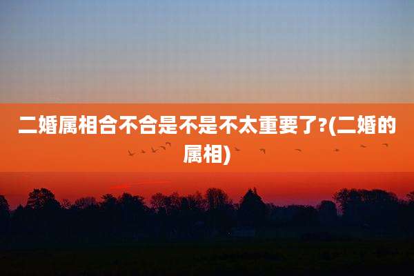 二婚属相合不合是不是不太重要了?(二婚的属相)