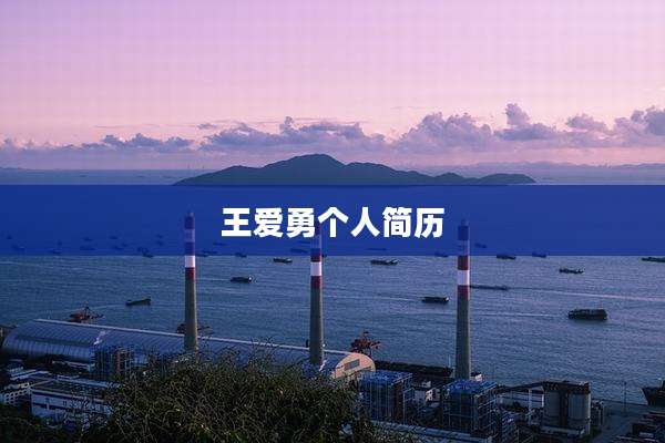 王爱勇个人简历
